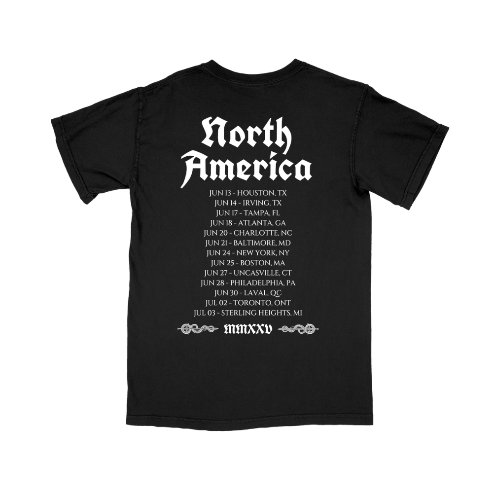 The Raven T-Shirt